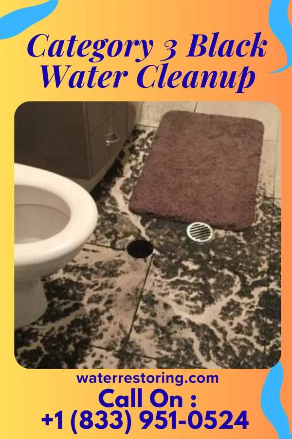 Category 3 Black Water Cleanup in South Lansing, NY