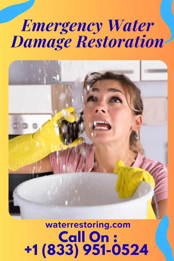 Emergency Water Damage Restoration in South Lansing, NY