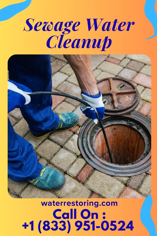 Sewage Water Cleanup in South Lansing, NY