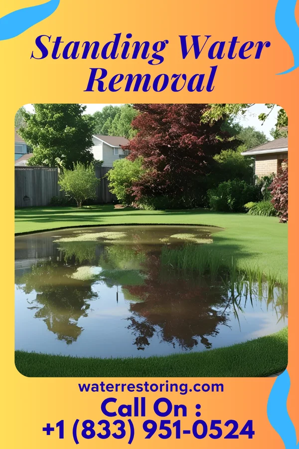 Standing Water Removal in South Lansing, NY